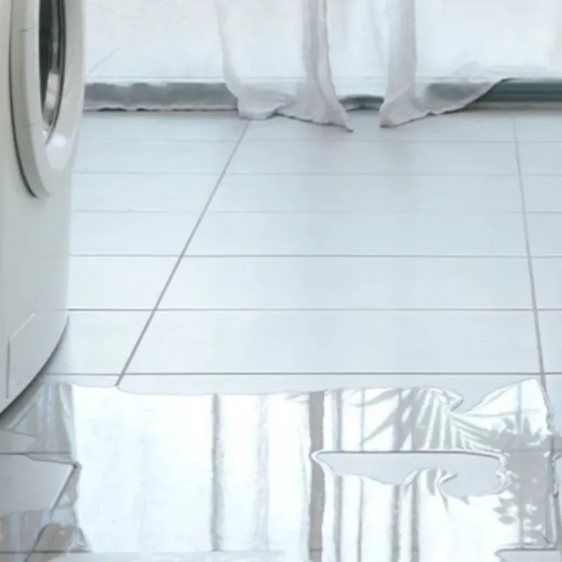 Appliance Leak Cleanup in Elgin, SC